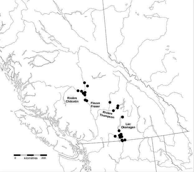 Aire de répartition canadienne de la chauve-souris à queue frangée (Myotis thysanodes)