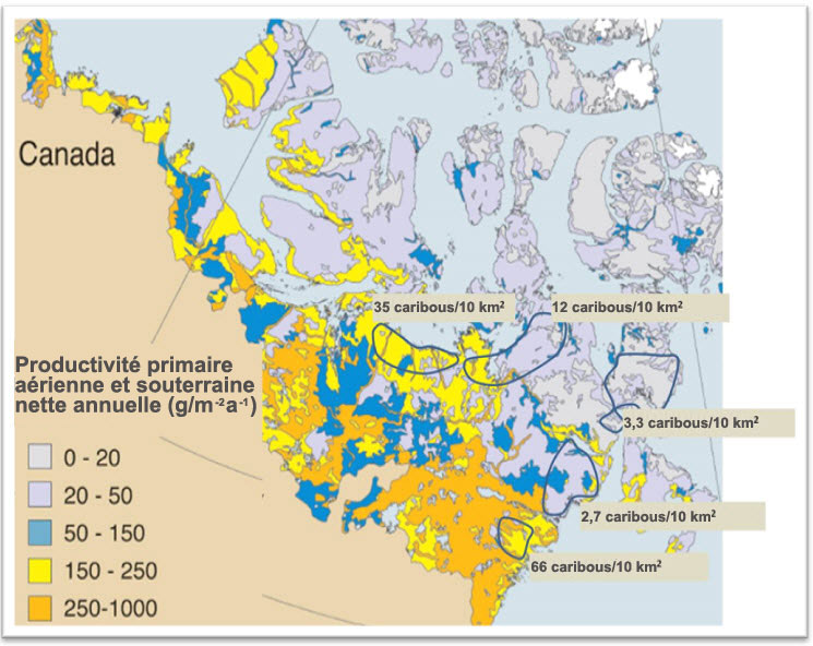 Carte de la productivité primaire nette (PPN) annuelle