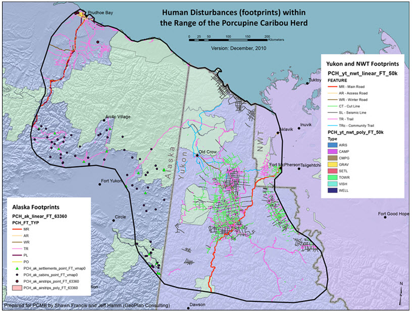 Human disturbance (footprints) within the range of the Porcupine Caribou subpopulation