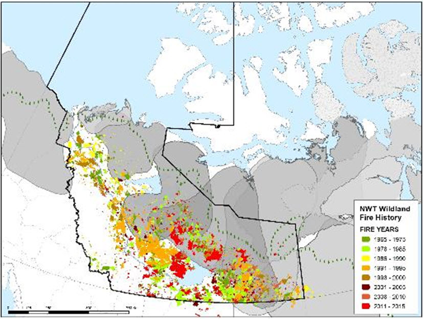 Fire history from 1965 to 2015 within the NWT superimposed on Barren-ground Caribou subpopulation ranges