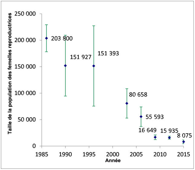 Tendances chez les femelles reproductrices (estimation + ET) de la sous population de caribous de Bathurst