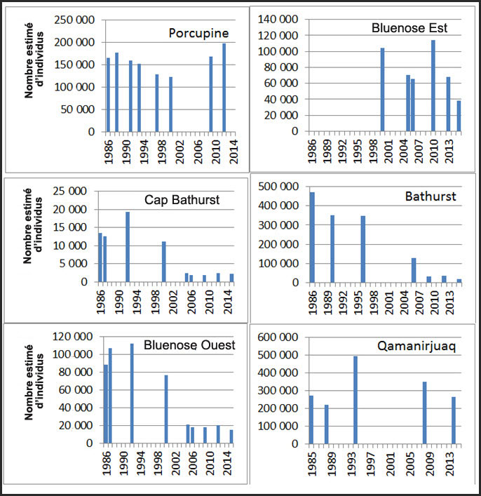 Estimations disponibles issues de relevés rigoureux réalisés sur trois générations pour six sous populations d’envergure de caribous