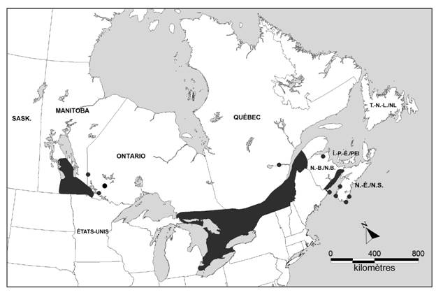 Carte montrant l’aire de répartition du Petit Blongios au Canada selon l’information réunie par l’Équipe nationale de rétablissement du Petit Blongios, 2007.