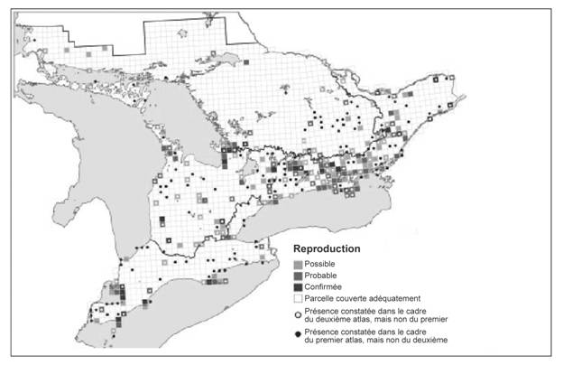 Carte montrant la Répartition des sites de reproduction du Petit Blongios dans le sud de l’Ontario selon le plus récent projet d’atlas des oiseaux nicheurs de l’Ontario.