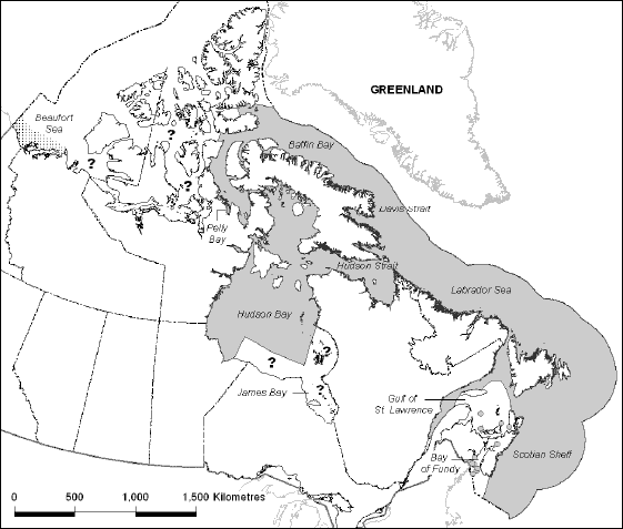 Map showing the range of Killer Whales in Canadian waters in the northwestern Altlantic and eastern Canadian Arctic.