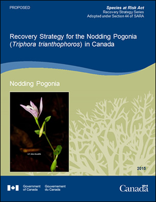 Cover photo: Recovery Strategy for the Nodding Pogonia