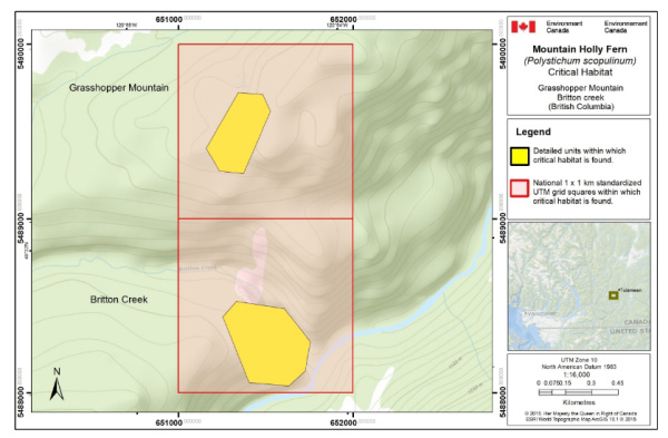 Figure 1b is a map showing Critical habitat for Mountain Holly Fern on Olivine Mountain and Britton Creek