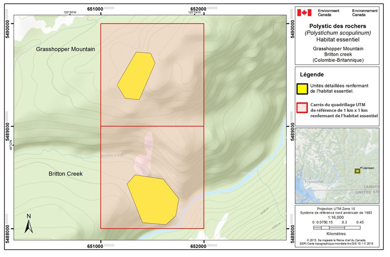 carte présentant les carrés du quadrillage normalisé de 1 km × 1 km qui renferment l'habitat essentiel du polystic des rochers au mont Olivine