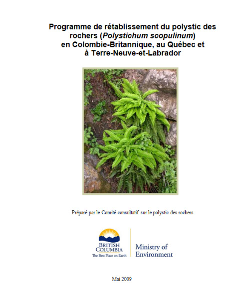 Photo  de couverture