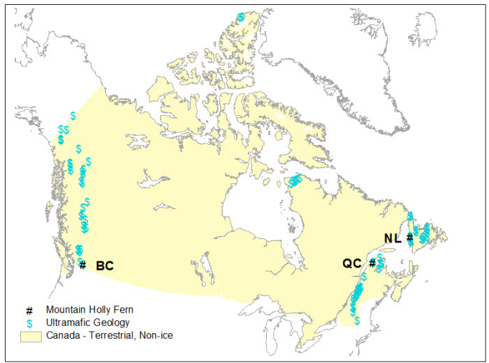 map of mountain holly fern distribution in Canada in relation to ultramafic geology