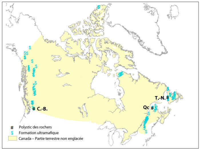 une carte de la répartition canadienne du polystic des rochers par rapport à celle des formations géologiques ultramafiques