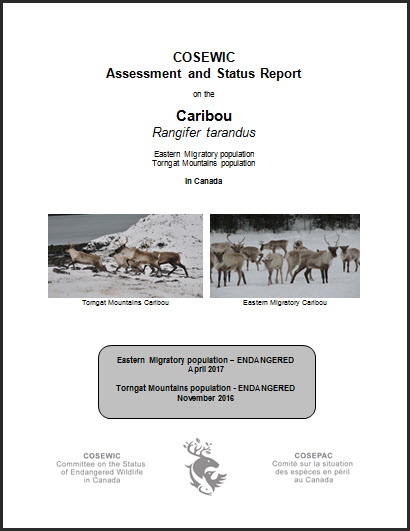 COSEWIC Assessment and status report on the Caribou