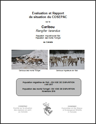 Sommaire du statut de l’espèce du COSEPAC sur le Caribou
