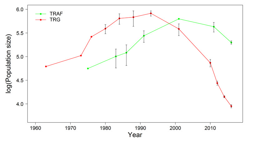 Graph of log transformed population
