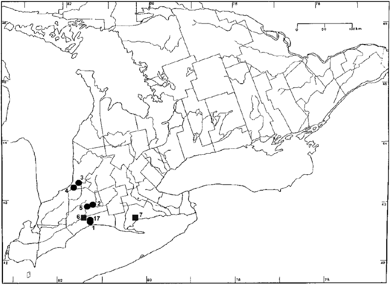 Figure 3.&nbsp;Distribution of Enemion biternatum inOntario