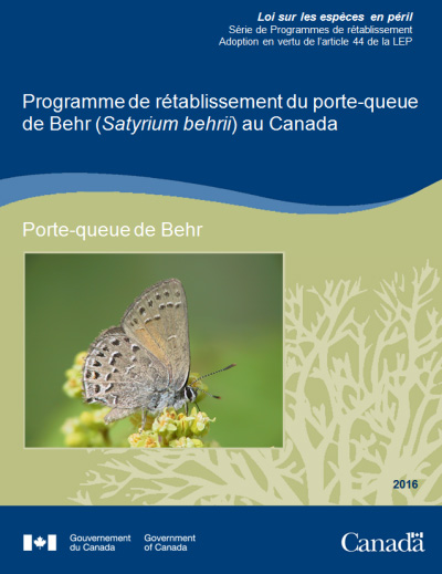 Photo de couverture pur la  Programme de rétablissement du porte queue de Behr