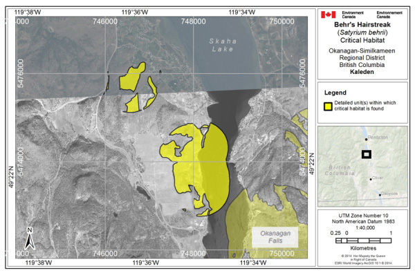 Map showing Critical habitat for Behr's Hairstreak at Kaleden, British Columbia