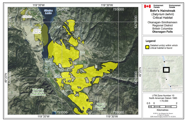 Map showing Critical habitat for Behr's Hairstreak at Okanagan Falls
