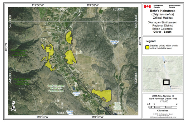 Map showing Critical habitat for Behr's Hairstreak south of Oliver