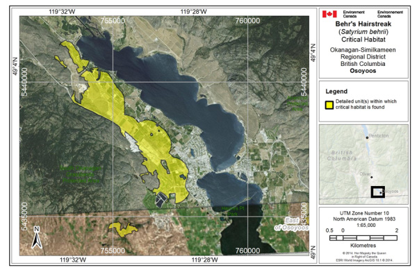 Map showing ritical habitat for Behr's Hairstreak at Osoyoos