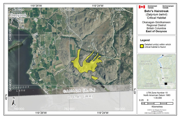 Map showing Critical habitat for Behr's Hairstreak at east Osoyoos