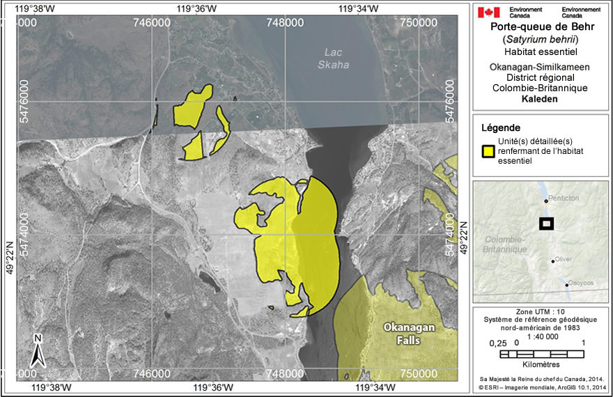 Carte: L'habitat essentiel du porte queue de Behr à Kaleden, en Colombie Britannique 