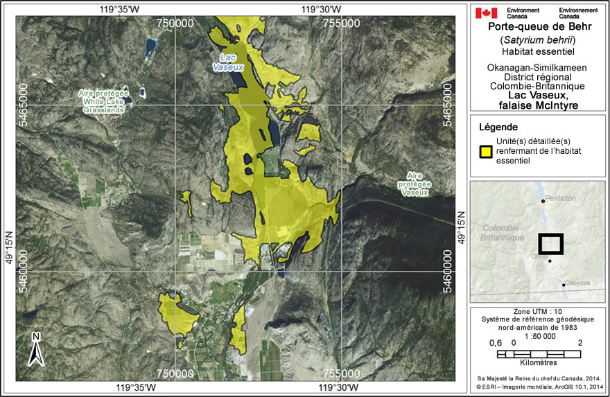Carte: L'habitat essentiel du porte-queue de Behr au lac Vaseux et à la falaise McIntyre, en Colombie-Britannique