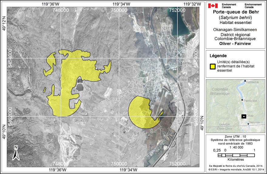 Carte: L'habitat essentiel du porte-queue de Behr à l'ouest d'Oliver - Fairview, en Colombie-Britannique