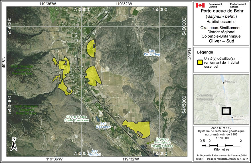 Carte: L'habitat essentiel du porte-queue de Behr au sud d'Oliver, en Colombie Britannique 