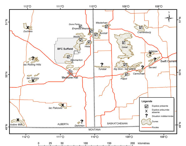 Figure 3 : Répartition des rats kangourous d’Ord et emplacement des relevés de l’espèce dans les dunes du sud-ouest de la Saskatchewan et du sud-est de l’Alberta.