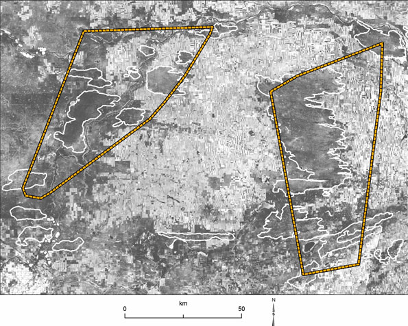 Figure 4: The distribution of sand hill habitat (depicted here as white polygons) and the estimated distribution of kangaroo rats in Canada (depicted using dashed borders).