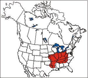 Figure 1. Aire de répartition du rosier sétigère en Amérique du Nord (Voir description longue ci-dessous.)