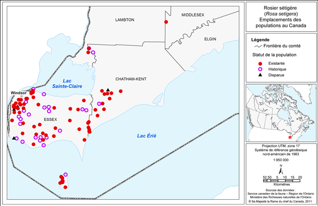 figure 2 (Voir description longue ci-dessous.)