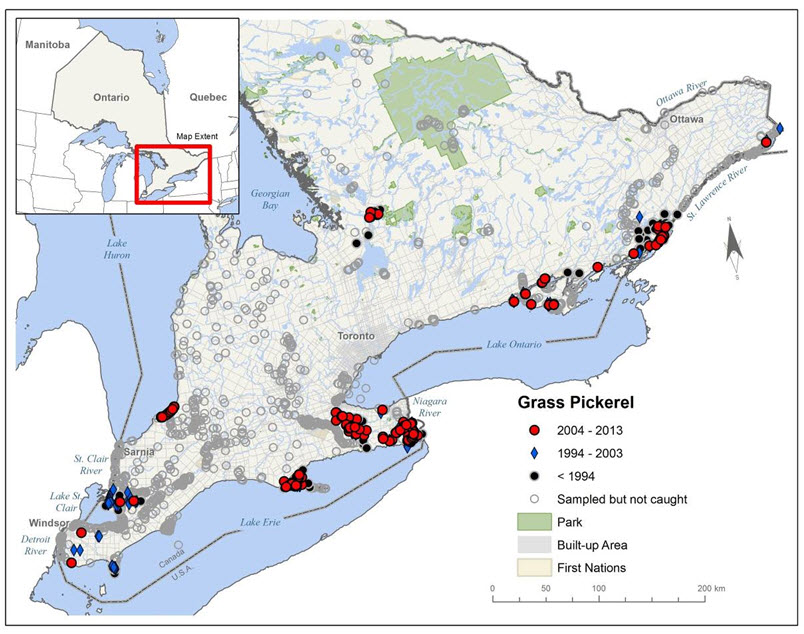 Map showing the current distribution of Grass Pickerel.