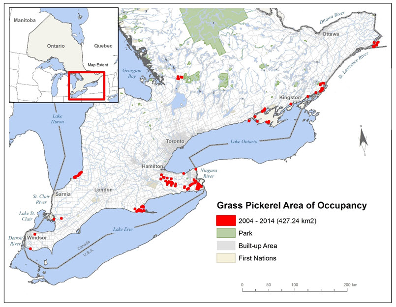 Map showing area of occupancy for the Grass Pickerel.