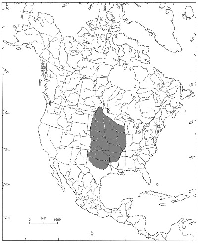 Carte montre l'aire de répartition de la gérardie rude en Amérique du Nord.  Voir la description longe de la figure 2 ci-dessous