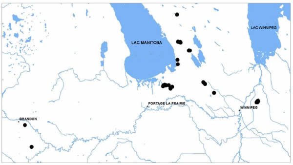 Cartre montre les emplacements de l'espèce au Manitoba.