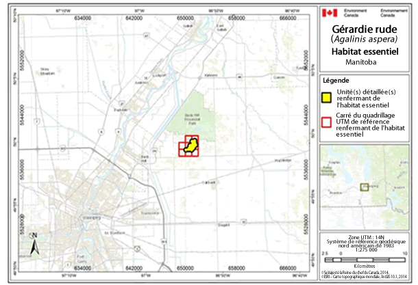 Carte montre l'habitat essentiel de la gérardie rude près de Winnipeg (Manitoba).