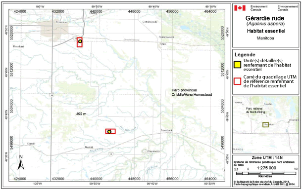 Carte montre l'habitat essentiel de la gérardie rude au Manitoba.