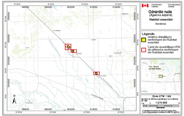 Carte montre l'habitat essentiel de la gérardie rude au sud du lac Manitoba.