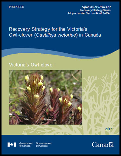 Cover photo of document