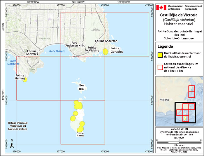 Photo de couverture de document (voir longue description ci-dessous)