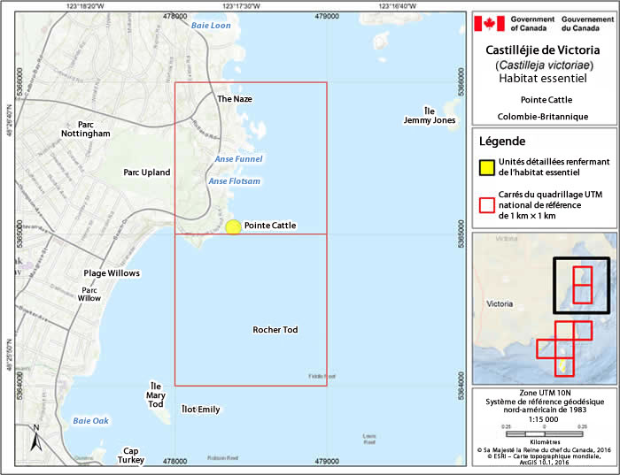 Photo de couverture de document (voir longue description ci-dessous)