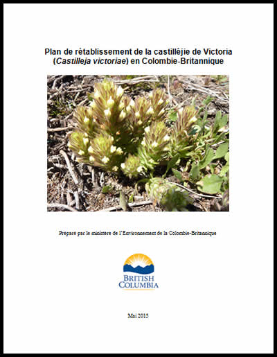 Photo de couverture de partie 2 document