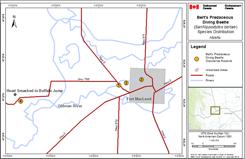 Occurrences of Bert’s Predaceous Diving Beetle 
