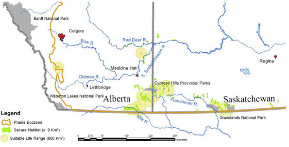 Figure 6. Map of secure habitat and suitable life ranges in the Prairie ecozone (see long description below).