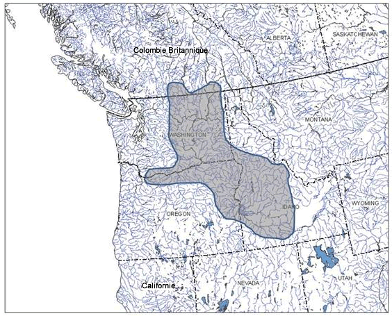 Carte illustrant la distribution mondiale du naseux d’Umatilla, ouest de l’Amérique du Nord.