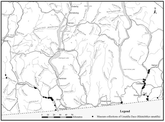 Map showing collection sites for Umatilla Dace within the Canadian range.