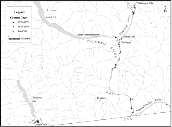 Map showing collection sites for Umatilla Dace within the Columbia/Kootenay drainage over time.