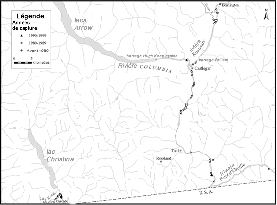 Carte indiquant les sites des prélèvements de naseux d’Umatilla dans le bassin hydrographique du fleuve Columbia et de la rivière Kootenay en fonction des années.